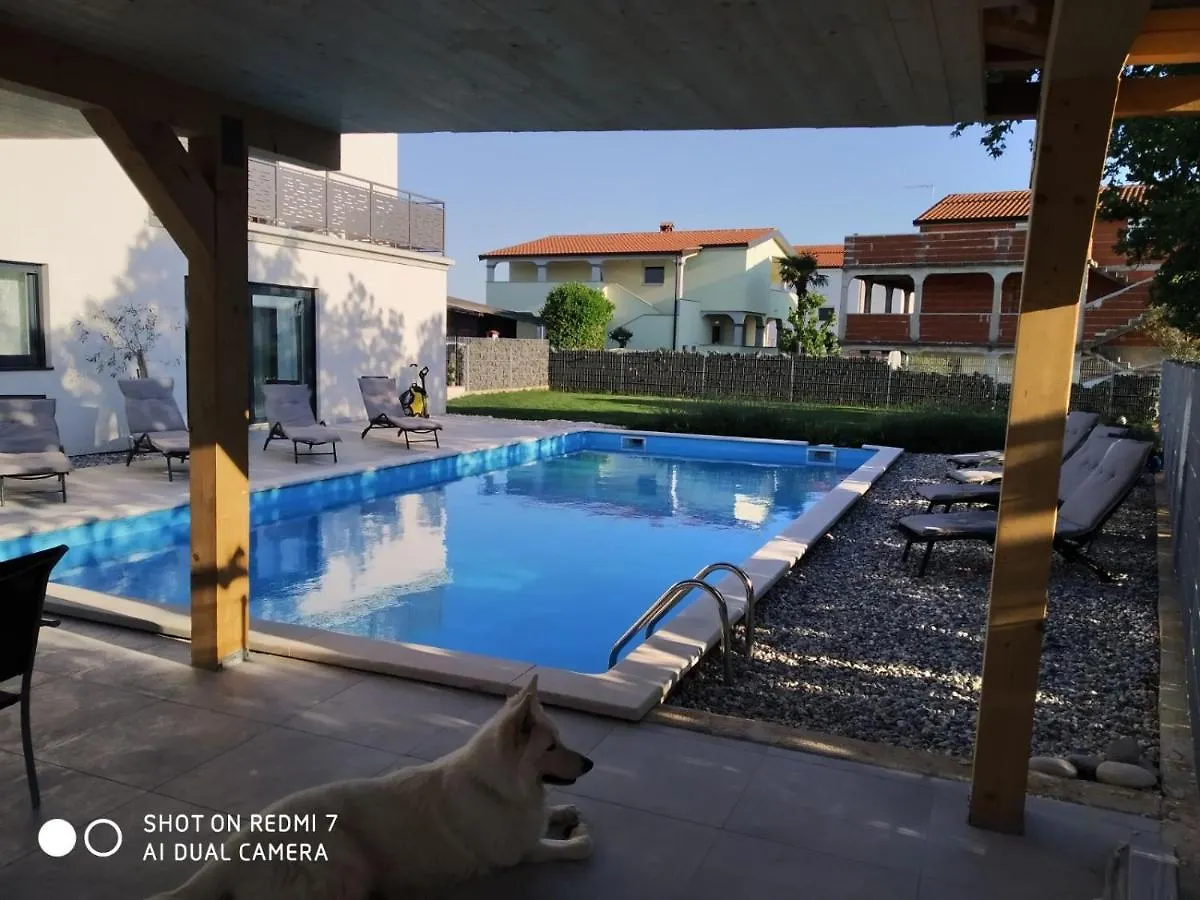 Apartment Enjoy Green, App With Swimming Pool, Garden, Pets Welcome Novigrad