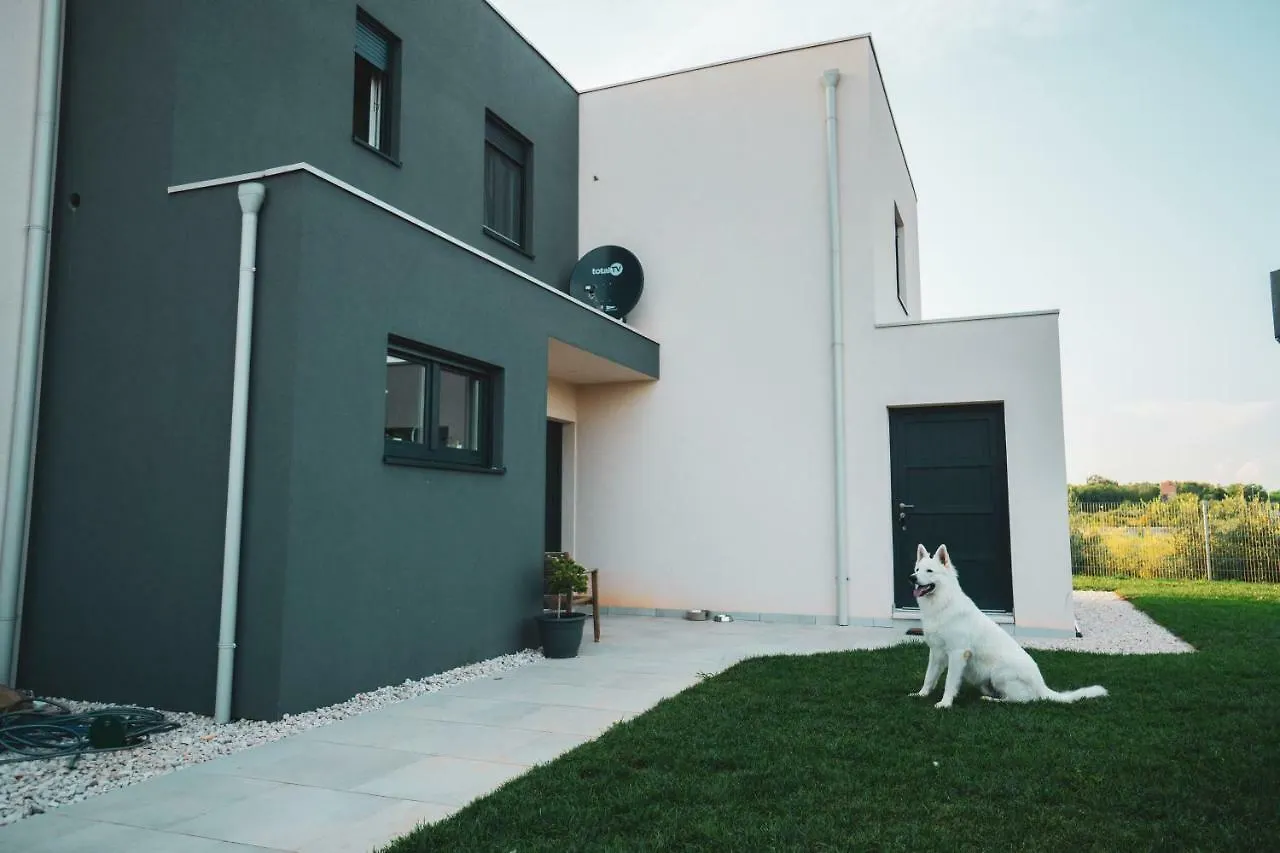 Enjoy Green, App With Swimming Pool, Garden, Pets Welcome Novigrad  Novigrad (Istria)
